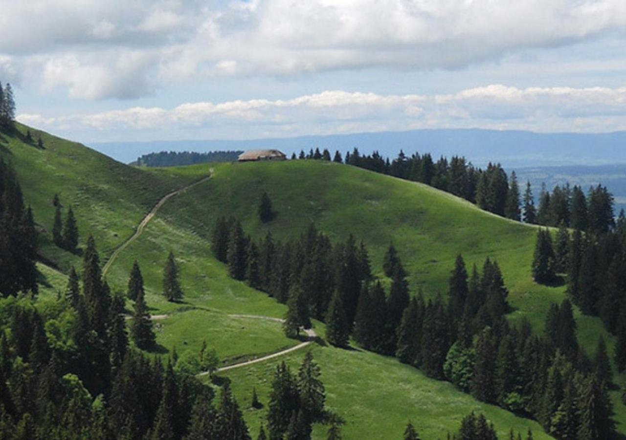 Au Petit Gite Les Paccots Châtel-Saint-Denis Exteriör bild